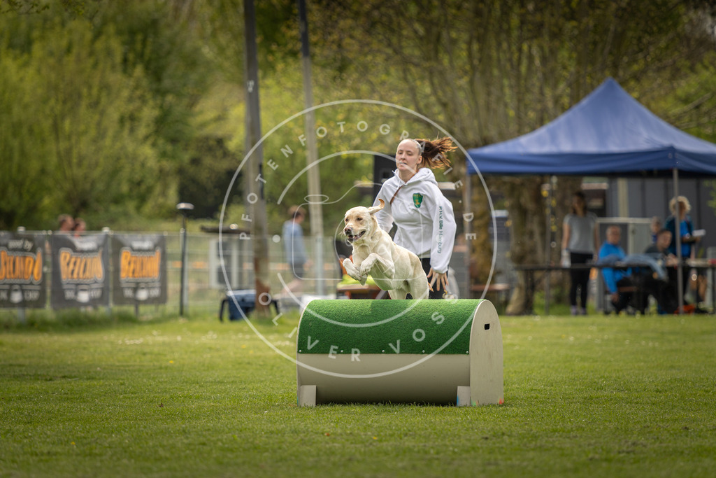 Pfotenfotografie_DV3A6561 | Hundefotografie, Tierfotograf, Pfotenfotografie, Fotoshooting Hund, Hunde Portrait, Hundesport, Hundeportraits, Heideshooting, Hunde, Sportfotograf, Hundefotograf, Turnierhundsport, THS,  - Realisiert mit Pictrs.com