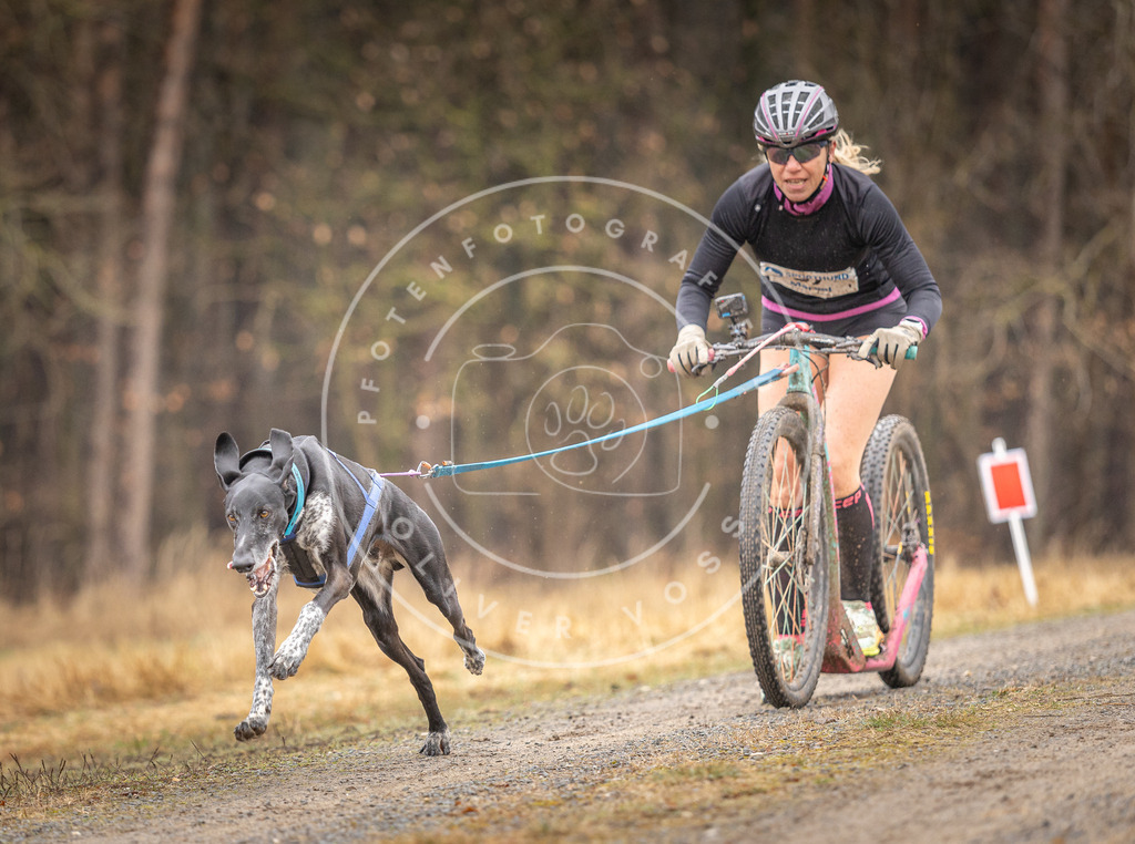 DV3A3165 | Hundefotografie, Tierfotograf, Pfotenfotografie, Fotoshooting Hund, Hunde Portrait, Hundesport, Hundeportraits, Heideshooting, Hunde, Sportfotograf, Hundefotograf, Turnierhundsport, THS,  - Realisiert mit Pictrs.com