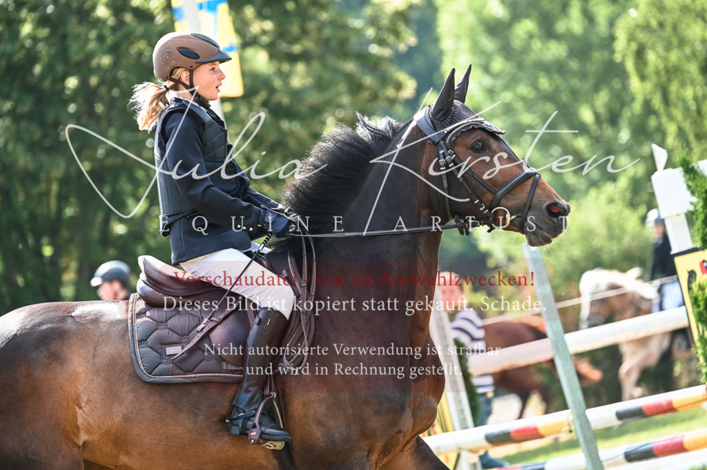 DSC_7981 | Pferde- und Turnierfotografie in Westsachsen. Pferdeportraits, Auftragszeichnungen und intuitive Kunst.