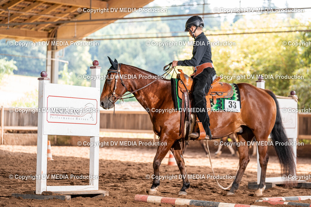 Erbach Tag 2-210 | dv-media-shop - Realisiert mit Pictrs.com