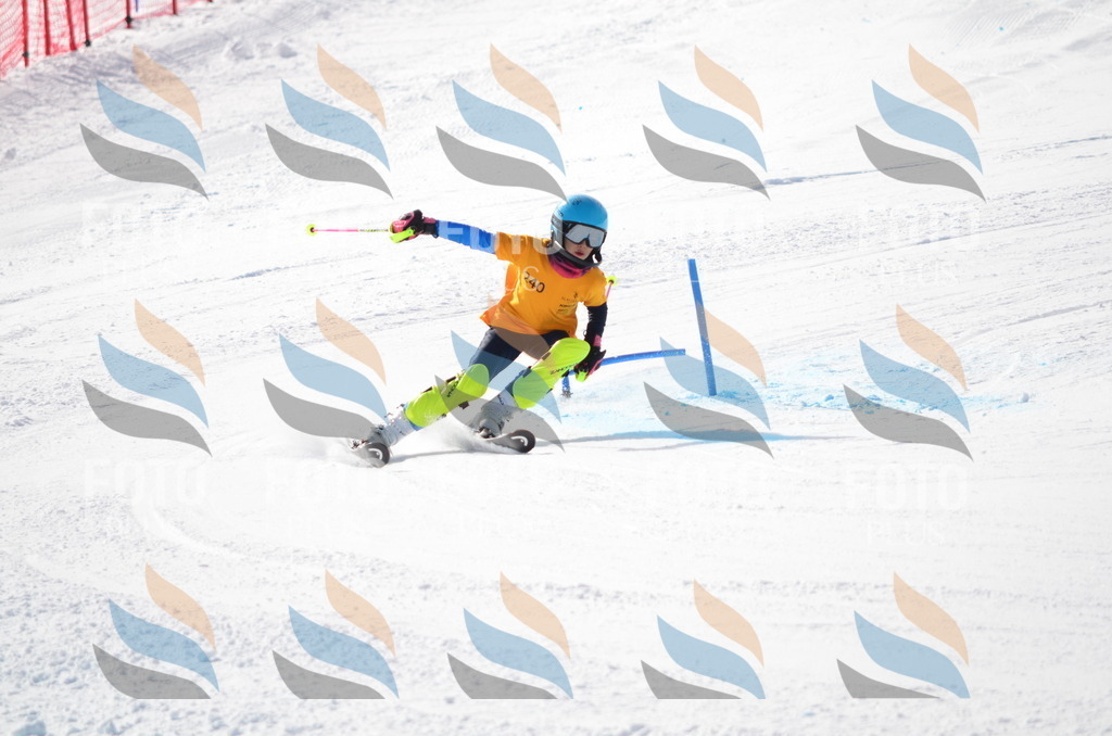 C8376 | holidayphoto