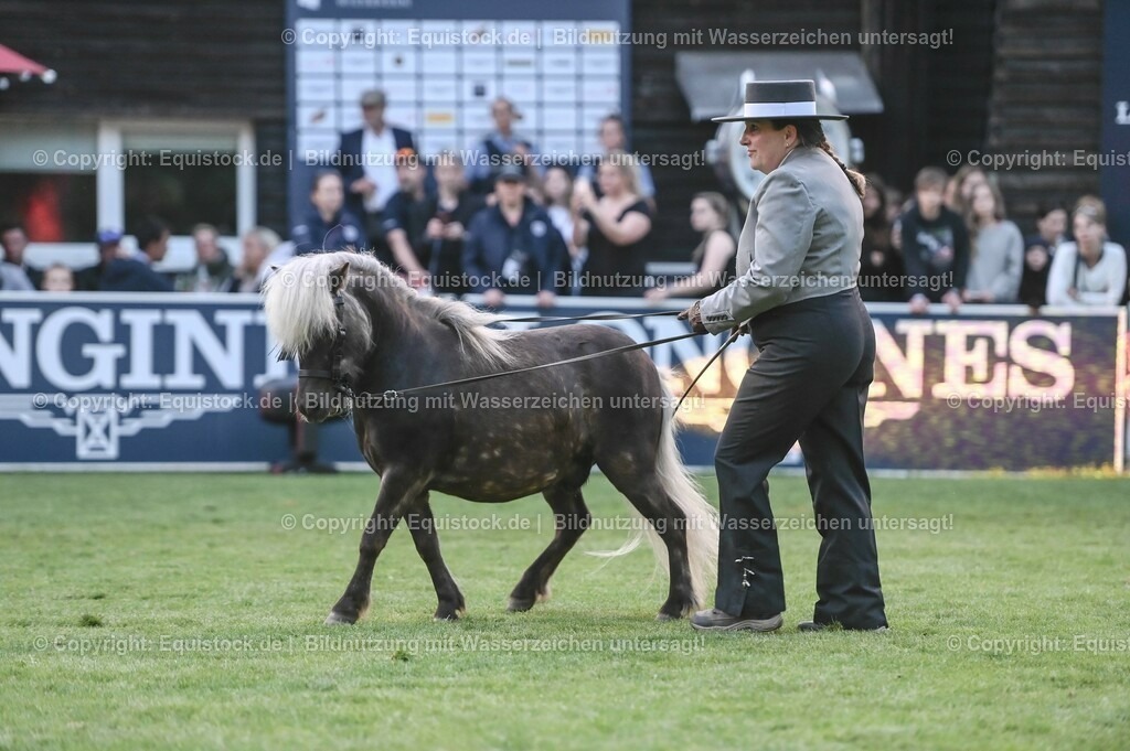 20230526_Pferdenacht_0765 | equistock