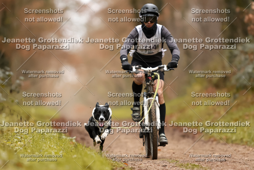 Dog Paparazzi - Speedhunter Mannheim  2025-375 | Dog Paparazzi Jeanette Grottendiek Fotografie & Videografie