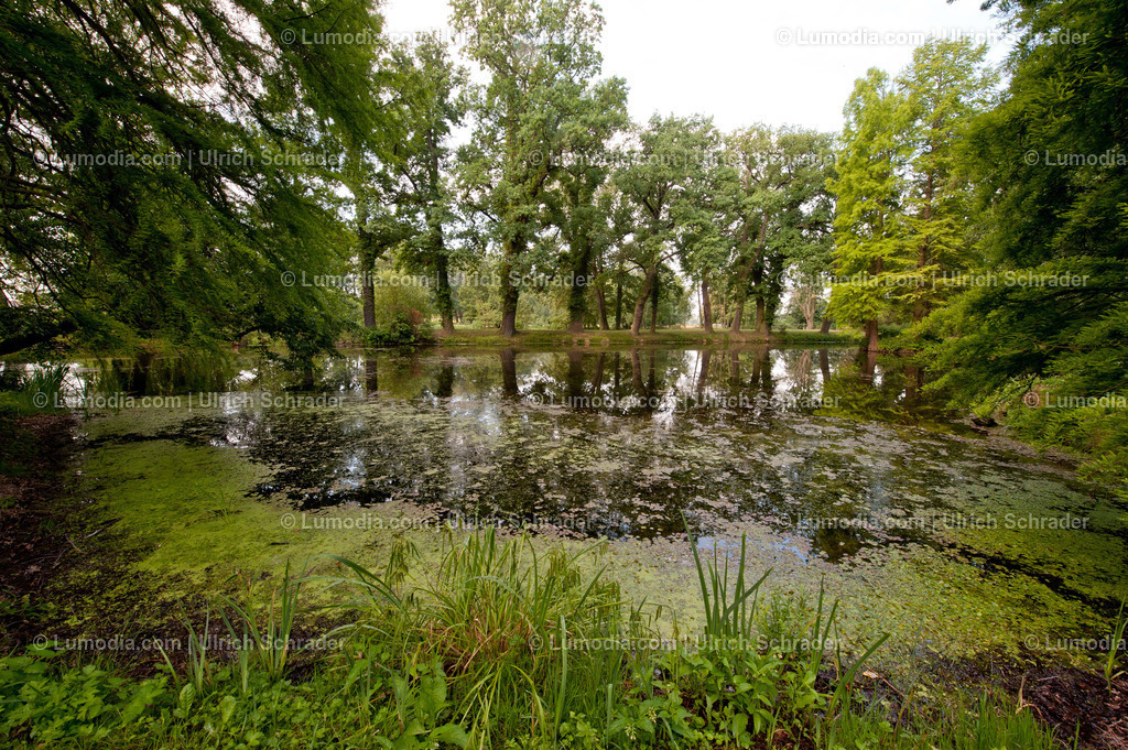 100494-4264 - Schlosspark Krumke | Stockfoto und Bilderpool mit Bildmaterial aus Deutschland, dem Harz, Halberstadt, Quedlinburg, Wernigerode und weltweit. Qualitativ hochwertige und professionelle Fotos anschauen und kaufen. - Realisiert mit Pictrs.com