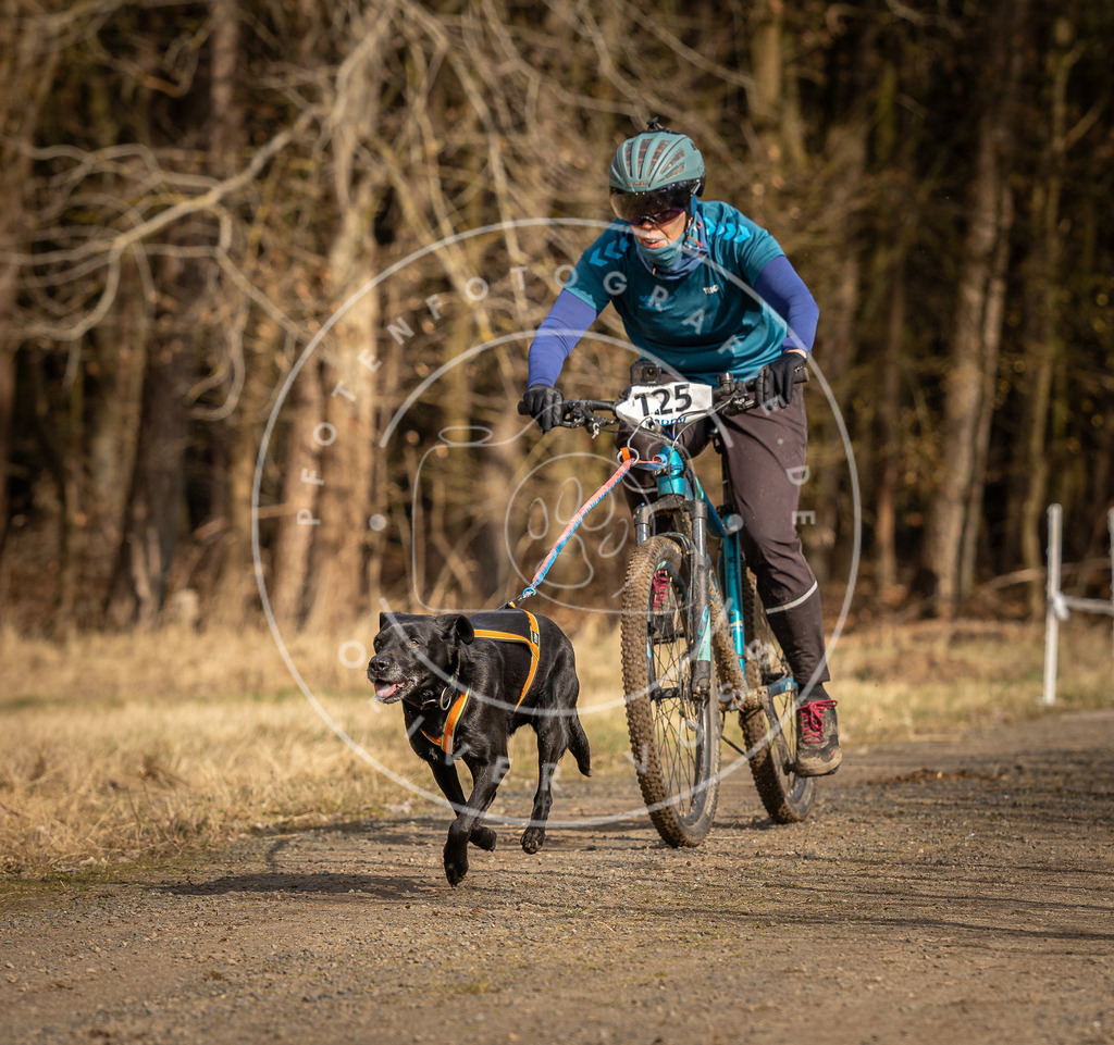 DV3A4527 | Hundefotografie, Tierfotograf, Pfotenfotografie, Fotoshooting Hund, Hunde Portrait, Hundesport, Hundeportraits, Heideshooting, Hunde, Sportfotograf, Hundefotograf, Turnierhundsport, THS,  - Realisiert mit Pictrs.com