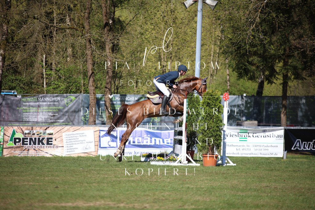 IMGT0434 | pl-fotografie