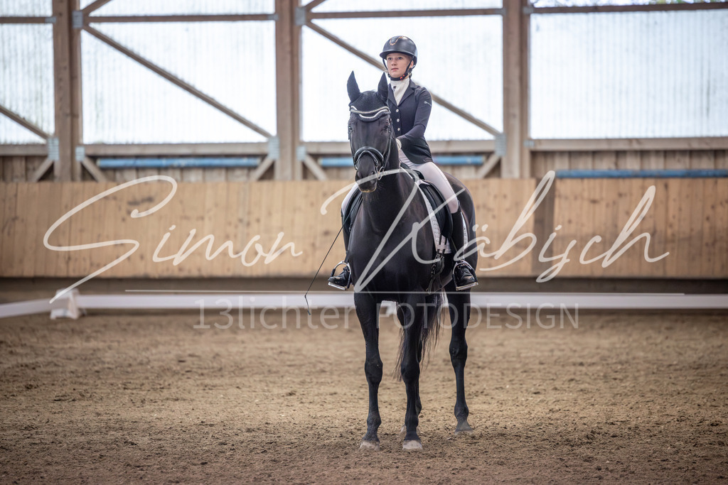 20251011-_3LI2064 | Tierfotografie Pferde, Hunde, Katzen, Haustiere.
Turnierfotografie Reitturniere, Reiten, Springreiten, Dressur in Hanau, dem Main-Kinzig-Kreis und dem Rhein-Main- Gebiet um Frankfurt
