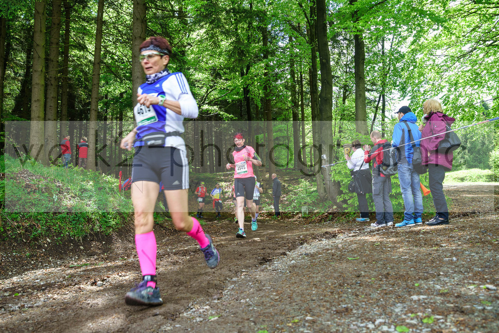 Rennsteiglauf 2017 | Neuhaus/Rwg. - Schmiedefeld am 19. Mai 2017