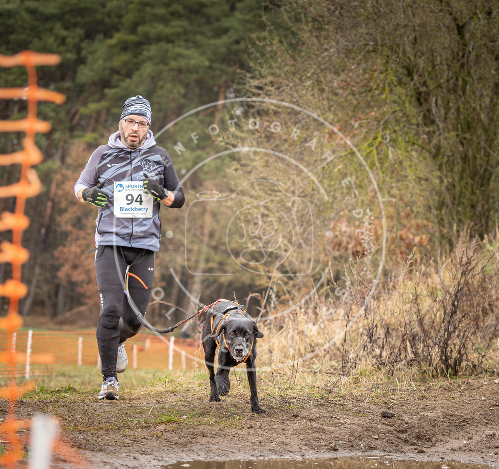 DV3A0508 | Hundefotografie, Tierfotograf, Pfotenfotografie, Fotoshooting Hund, Hunde Portrait, Hundesport, Hundeportraits, Heideshooting, Hunde, Sportfotograf, Hundefotograf, Turnierhundsport, THS,  - Realisiert mit Pictrs.com