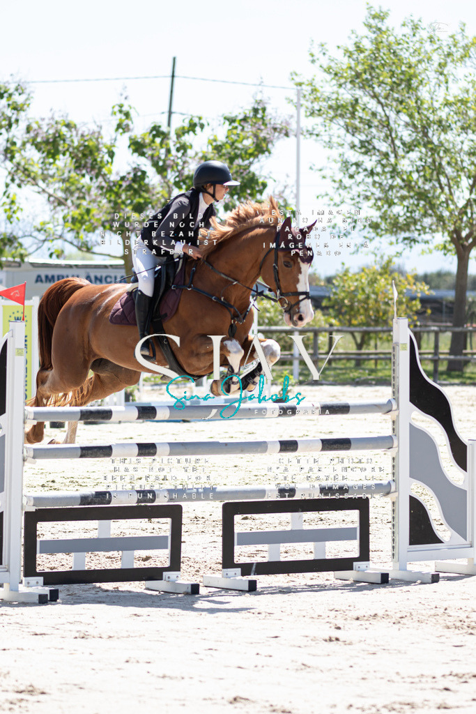 IMG_0109 | s-jay-photography - Realisiert mit Pictrs.com