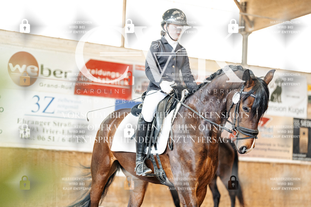 CK909843 | Turnierfotografie Pferdefotografie Trier Rheinland-Pfalz Pferdesport Reitsport Tierfotografie Sportfotografie Pferdevideo Pferdevideografie Equestrianvideography equestrianphotography  - Realisiert mit Pictrs.com