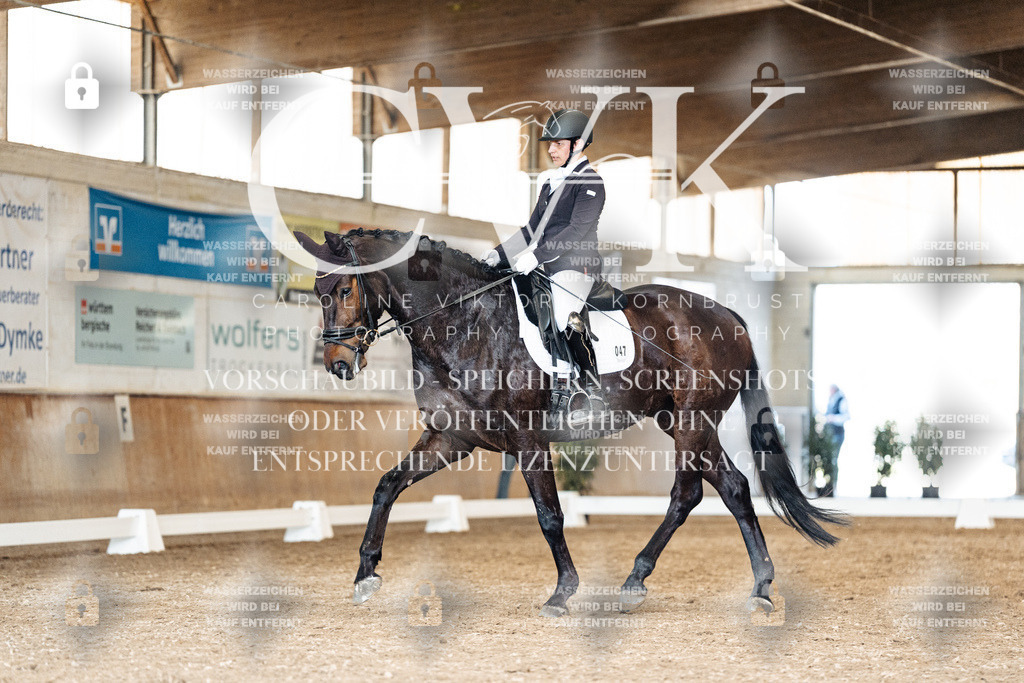 CK901467 | Turnierfotografie Pferdefotografie Trier Rheinland-Pfalz Pferdesport Reitsport Tierfotografie Sportfotografie Pferdevideo Pferdevideografie Equestrianvideography equestrianphotography  - Realisiert mit Pictrs.com