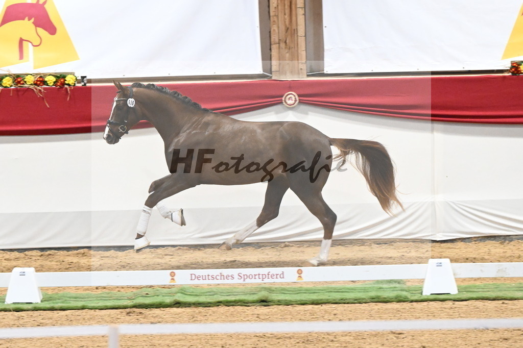 Kat.-Nr. 36 v. Benicio_Galneder_3260218 | hf-fotografie - Realizzato con Pictrs.com