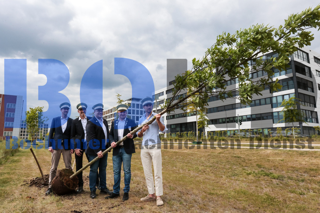 Eicheingrabung | Eicheingrabung - Realisiert mit Pictrs.com