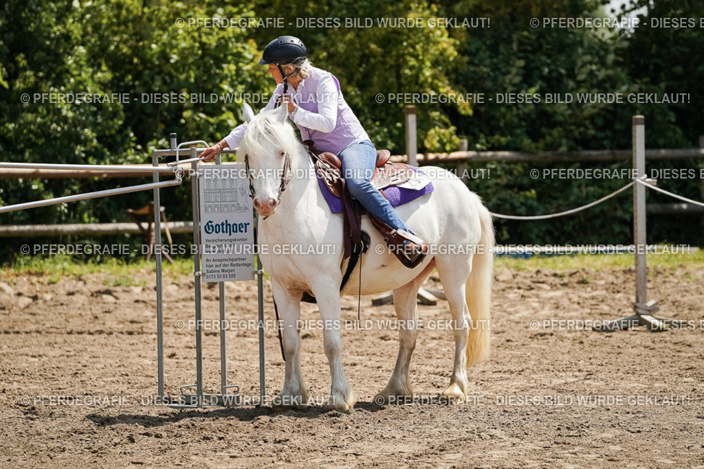 DSC07238 | Pferdegrafie