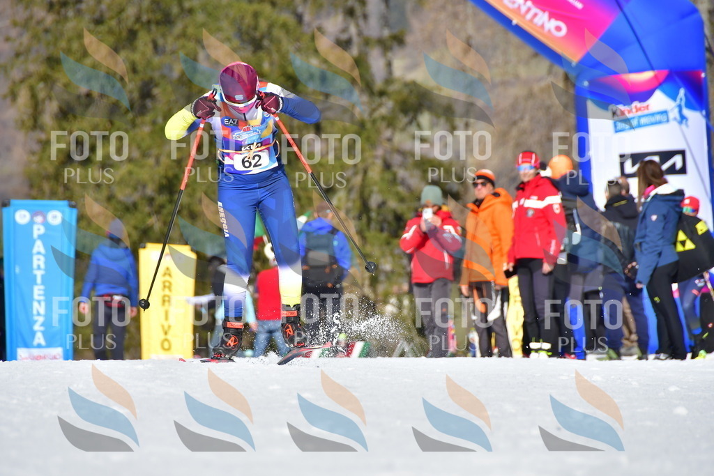 _DSC9214 | holidayphoto