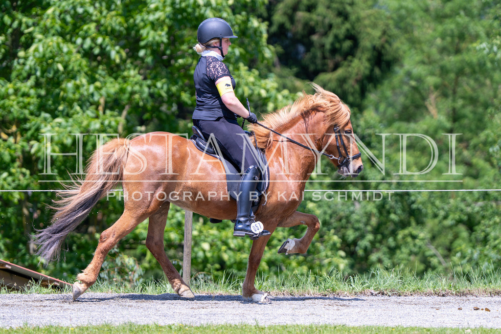 KAI04037 | Ihr sucht einen Fotografen für eure nächste OSI? Ich begleite auch euer Turnier für Islandpferde fotografisch.  - Realisiert mit Pictrs.com