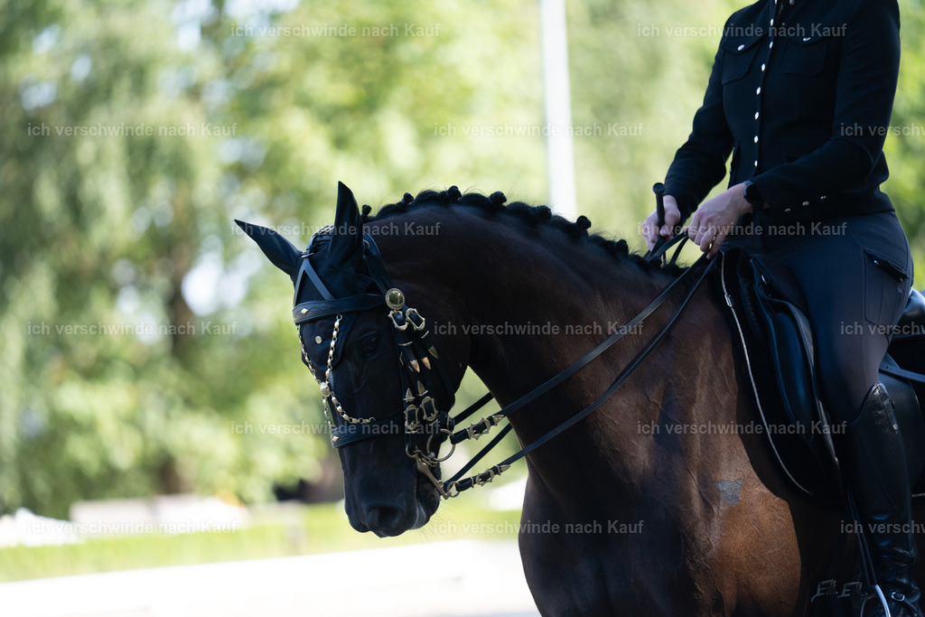 WL_DR_25_sinafilmart_IN05854 | working equitationturnier fotograf videograf stoibphotography marixx film working equitation deutschland reitsport turnierfotografie eventfotografie equestrian events