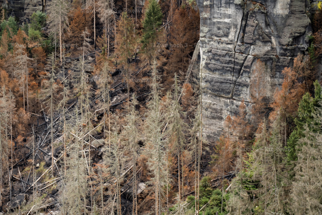 Frienstein_Idagrotte_Wald_Waldbrand_Hang_Felsen_Felswand | 2022-09-02_Waldbrandgebiete_2 - Realisiert mit Pictrs.com