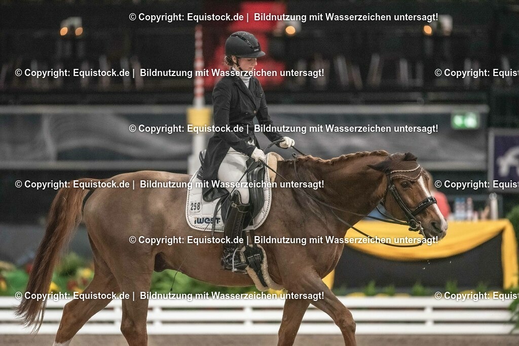 20231115_20_Dressur_Kl-S++_0175_TOMsPiC | Foto: Thomas Hartig