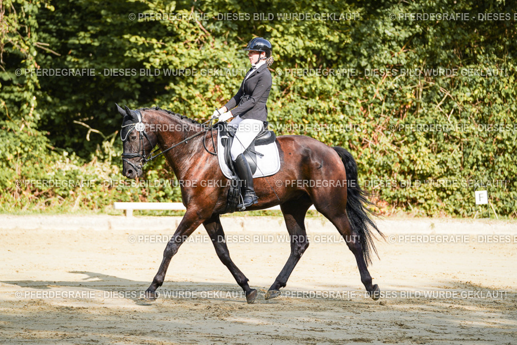 DSC08232 | Pferdegrafie