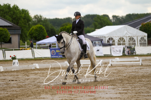 DKP40278 | Turniersportfotografie; Pferdefotografie; Dressurfotografie