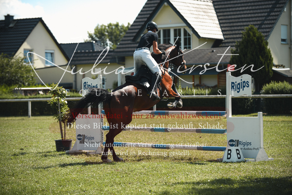 DSC_6998 | Pferde- und Turnierfotografie in Westsachsen. Pferdeportraits, Auftragszeichnungen und intuitive Kunst.