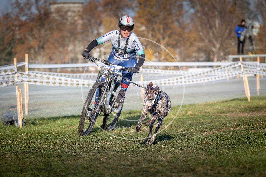 CaniXpix_0L8A4386 | Hundefotografie, Tierfotograf, Pfotenfotografie, Fotoshooting Hund, Hunde Portrait, Hundesport, Hundeportraits, Heideshooting, Hunde, Sportfotograf, Hundefotograf, Turnierhundsport, THS,  - Realisiert mit Pictrs.com