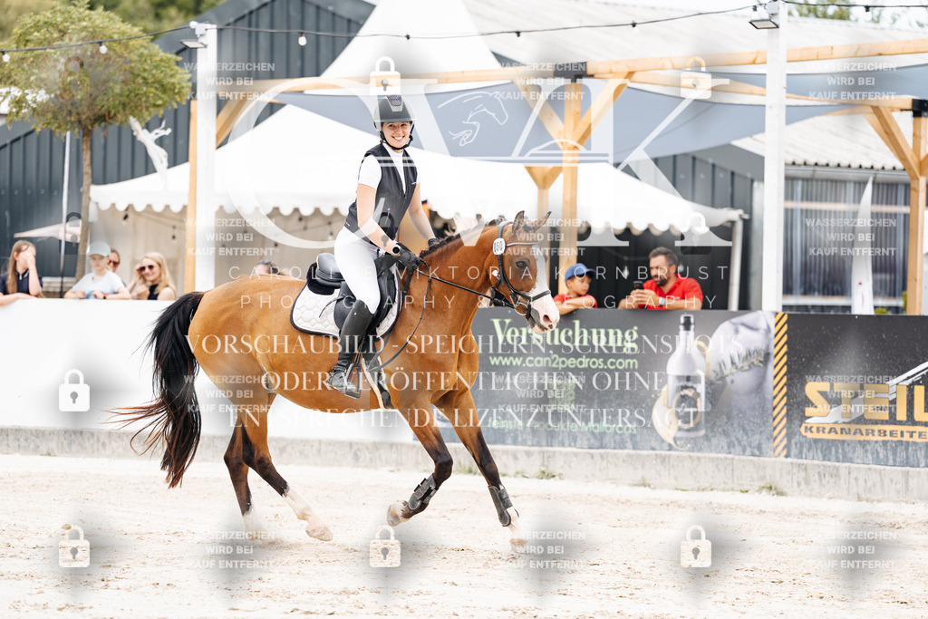 CK907851 | Turnierfotografie Pferdefotografie Trier Rheinland-Pfalz Pferdesport Reitsport Tierfotografie Sportfotografie Pferdevideo Pferdevideografie Equestrianvideography equestrianphotography  - Realisiert mit Pictrs.com