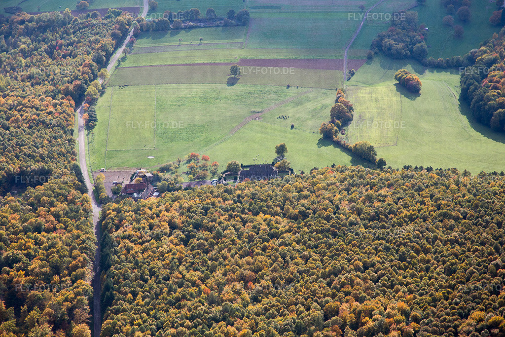 Ortsansicht | Luftbild: Ortsansicht in Nehwiller-près-Wœrth im Bundesland Bas-Rhin in Frankreich. Foto: IMG_084699.jpg vom 23.10.2015 durch Werner Riehm/FLY-FOTO.de - Realisiert mit Pictrs.com