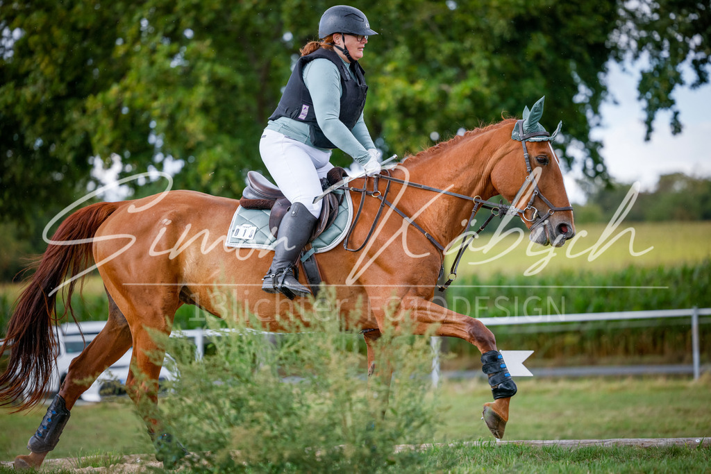 20250905-_3LI0811 | Tierfotografie Pferde, Hunde, Katzen, Haustiere.
Turnierfotografie Reitturniere, Reiten, Springreiten, Dressur in Hanau, dem Main-Kinzig-Kreis und dem Rhein-Main- Gebiet um Frankfurt