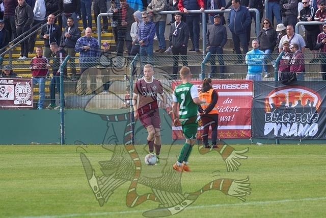 BFC Dynamo vs. BSG Chemie Leipzig  081 | mythos-online-redaktion