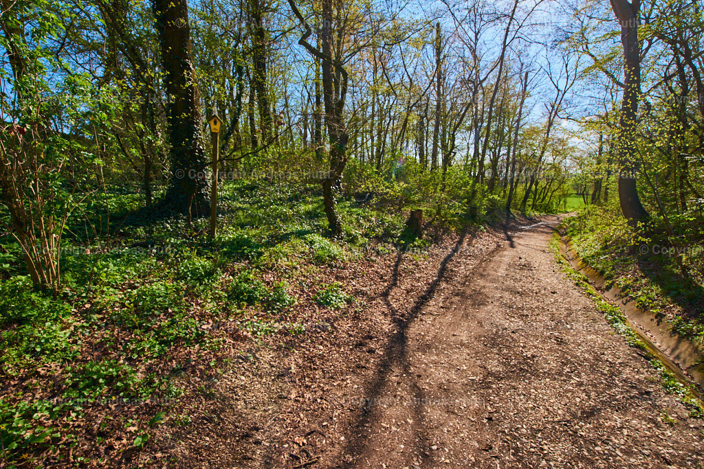 Die _Große Hölle__ ein Hohlweg im NSG _Pfarrholz_ Groitzsch 01 | Bedeutsame Landschaften Deutschlands - Realisiert mit Pictrs.com
