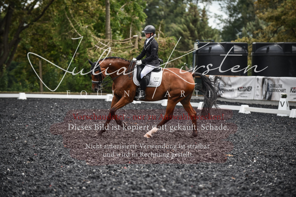 DSC_5002 | Pferde- und Turnierfotografie in Westsachsen. Pferdeportraits, Auftragszeichnungen und intuitive Kunst.