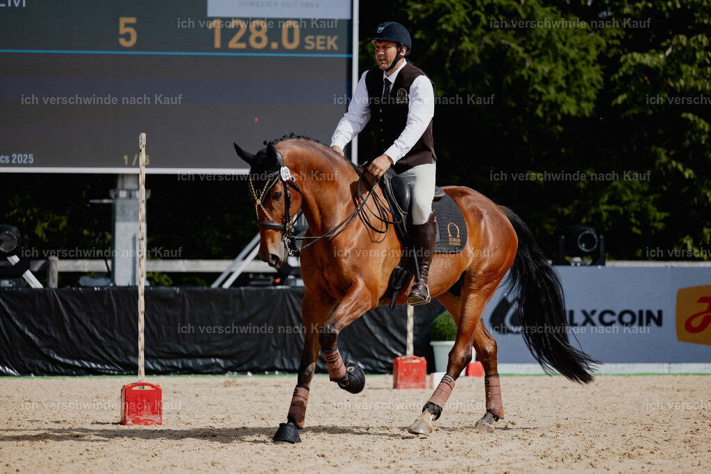 Gernot25_FHC2025-20970 | working equitationturnier fotograf videograf stoibphotography marixx film working equitation deutschland reitsport turnierfotografie eventfotografie equestrian events