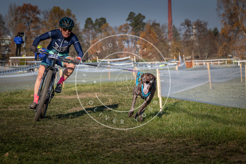 CaniXpix_0L8A6065 | Hundefotografie, Tierfotograf, Pfotenfotografie, Fotoshooting Hund, Hunde Portrait, Hundesport, Hundeportraits, Heideshooting, Hunde, Sportfotograf, Hundefotograf, Turnierhundsport, THS,  - Realisiert mit Pictrs.com