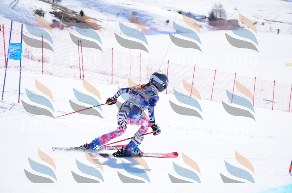 DSC_4215 | holidayphoto