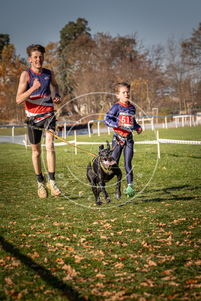 CaniXpix_0L8A6833 | Hundefotografie, Tierfotograf, Pfotenfotografie, Fotoshooting Hund, Hunde Portrait, Hundesport, Hundeportraits, Heideshooting, Hunde, Sportfotograf, Hundefotograf, Turnierhundsport, THS,  - Realisiert mit Pictrs.com