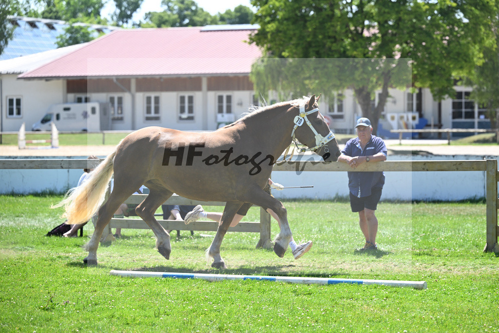 Kat-Nr. 70 Jamaika v. Venturin_Ingerl_18251211 | hf-fotografie - Realizzato con Pictrs.com