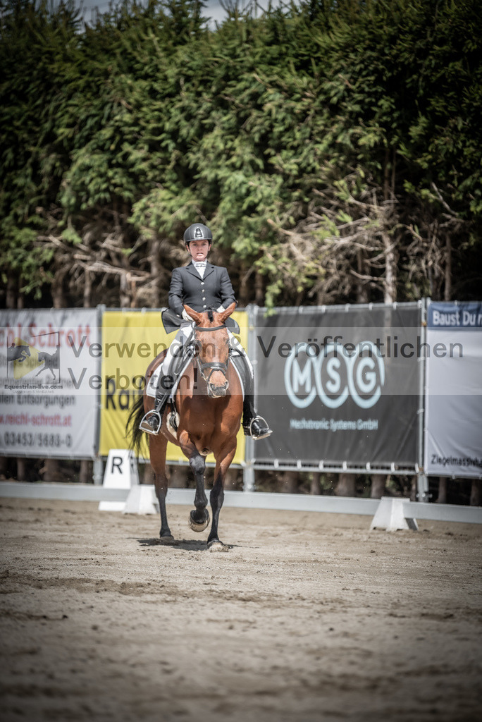DSC_2352 | equestrian-live-com