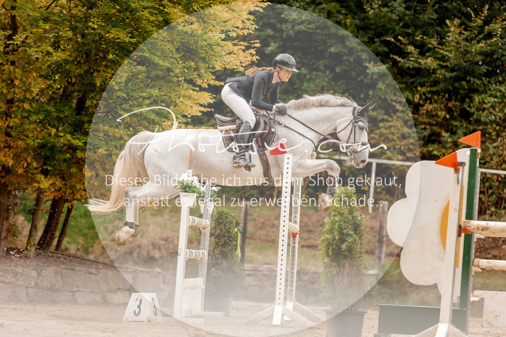 3I6A8125 | Stimmungsvolle Portraits und Reitsportfotografie im Ruhrgebiet und im Münsterland.

Pferdefotografie, Hundefotografie, Tierfotografie, Reportagen, Portraits von Tier und Mensch, Turnierfotografie in Bochum, Recklinghausen, Marl, Haltern am See, Dülmen.. - Realisiert mit Pictrs.com