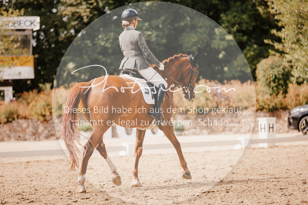 3I6A6069 | Stimmungsvolle Portraits und Reitsportfotografie im Ruhrgebiet und im Münsterland.

Pferdefotografie, Hundefotografie, Tierfotografie, Reportagen, Portraits von Tier und Mensch, Turnierfotografie in Bochum, Recklinghausen, Marl, Haltern am See, Dülmen.. - Realisiert mit Pictrs.com