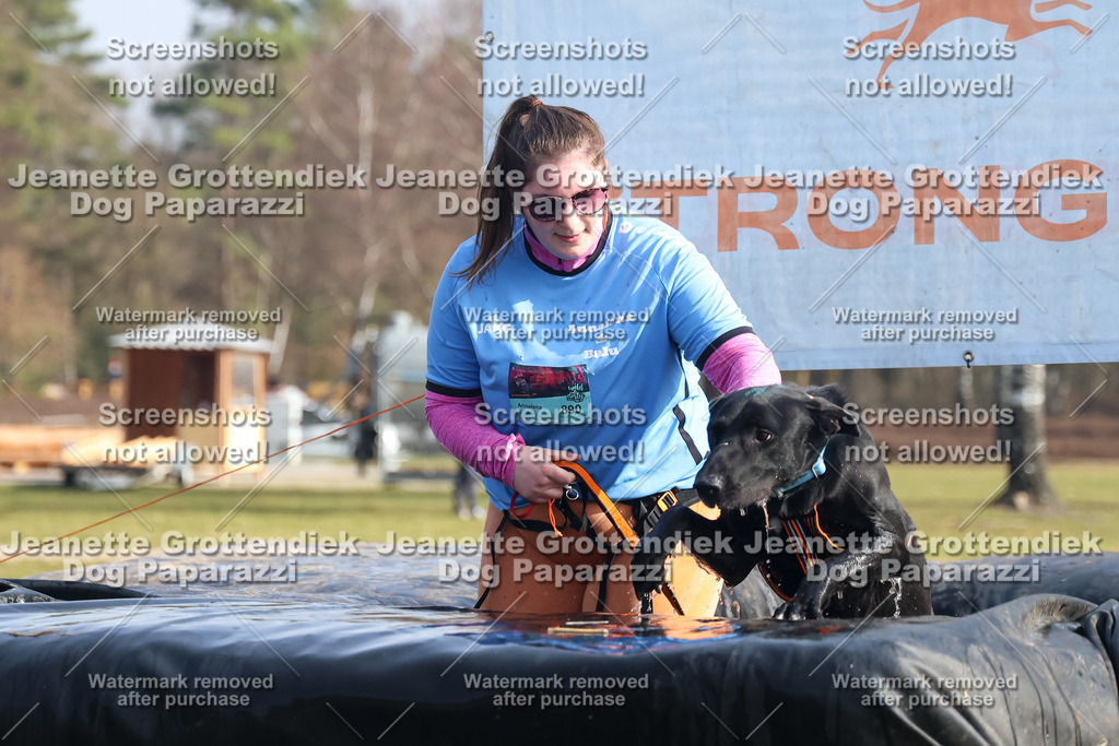 Dog Paparazzi - Strongdog North Mrz26-1734 | Dog Paparazzi Jeanette Grottendiek Fotografie & Videografie - Realisiert mit Pictrs.com