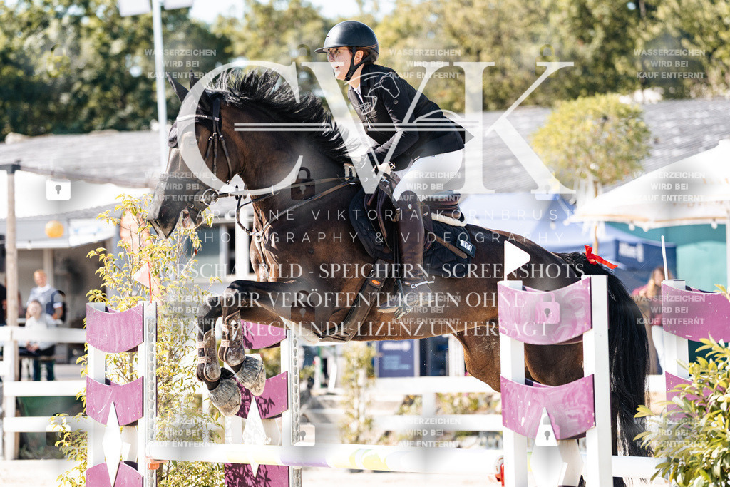 CK908039 | Turnierfotografie Pferdefotografie Trier Rheinland-Pfalz Pferdesport Reitsport Tierfotografie Sportfotografie Pferdevideo Pferdevideografie Equestrianvideography equestrianphotography  - Realisiert mit Pictrs.com