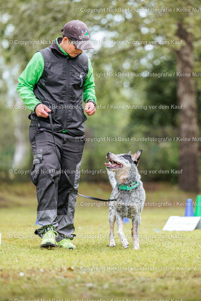 RO-Blumenthal-2026-Nickbest-Hundefotografie-5454 | Dein Hund! Dein Moment! Deine Erinnerungen! Hundefotografie in Bremen Blumenthal. Ich fange die besonderen Momente deines Vierbeiners ein – ob Indoor mit Blitzanlage oder in der freien Natur. Sicher dir dein Moment und dein Termin für eure Erinnerungen.