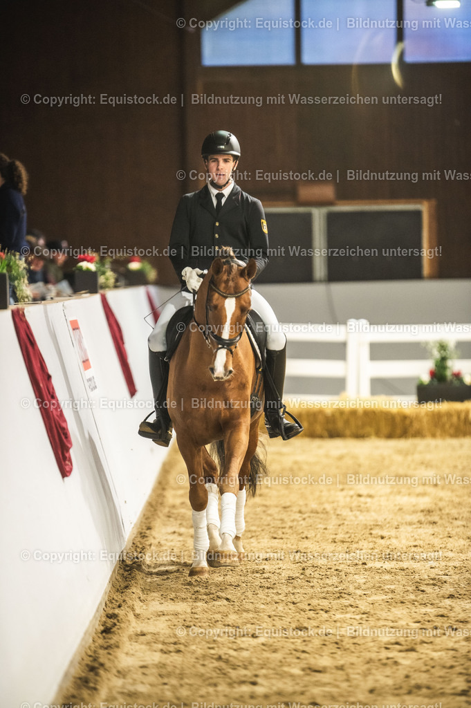 20240302_Hengstvorstellung_Marbach_TOMsPiC_0331 | equistock