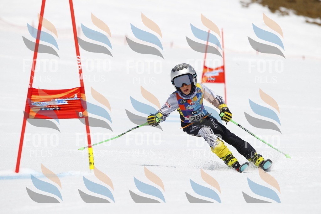 _U3G6485 | holidayphoto