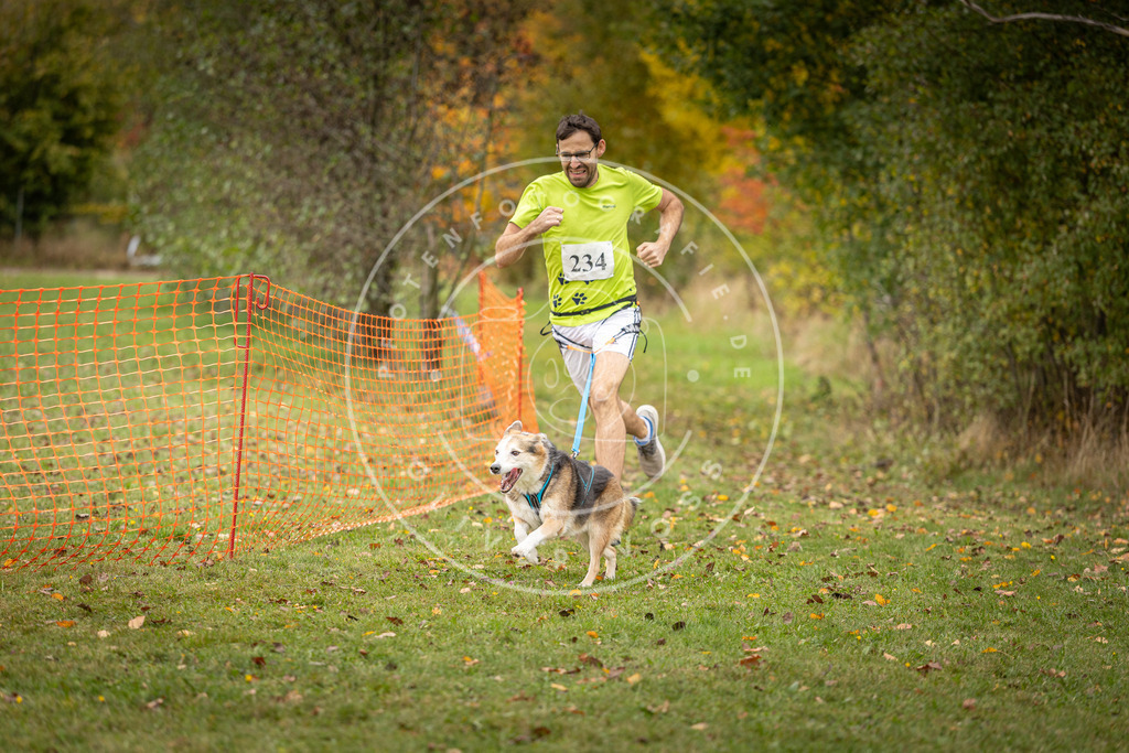 Pfotenfotografie_DV3A4386 | Hundefotografie, Tierfotograf, Pfotenfotografie, Fotoshooting Hund, Hunde Portrait, Hundesport, Hundeportraits, Heideshooting, Hunde, Sportfotograf, Hundefotograf, Turnierhundsport, THS,  - Realisiert mit Pictrs.com