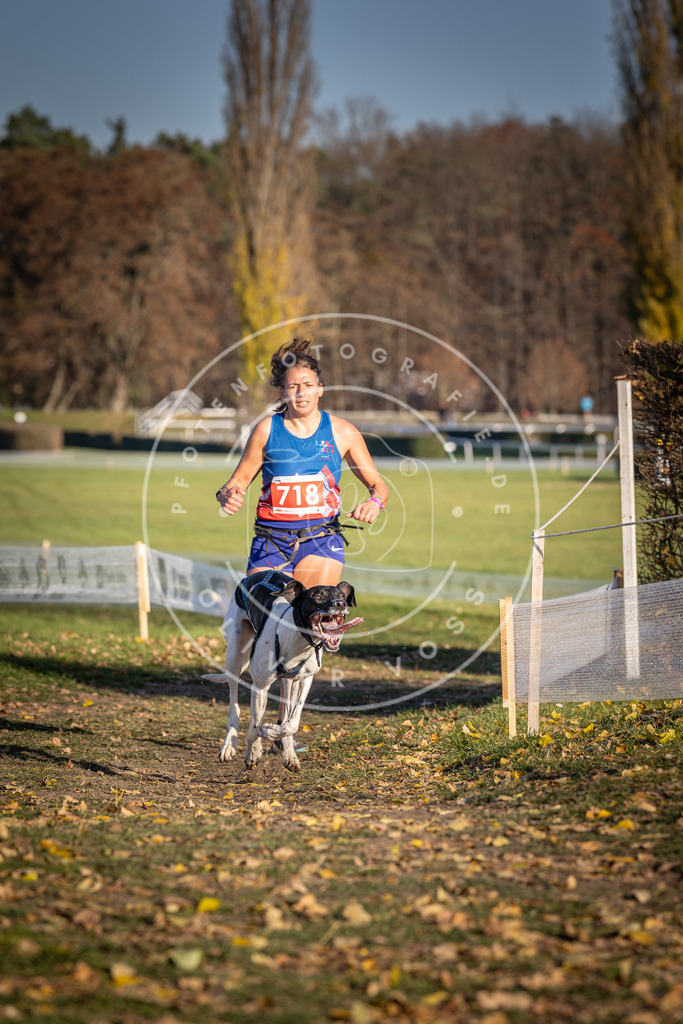 CaniXpix_DV3A1775 | Hundefotografie, Tierfotograf, Pfotenfotografie, Fotoshooting Hund, Hunde Portrait, Hundesport, Hundeportraits, Heideshooting, Hunde, Sportfotograf, Hundefotograf, Turnierhundsport, THS,  - Realisiert mit Pictrs.com