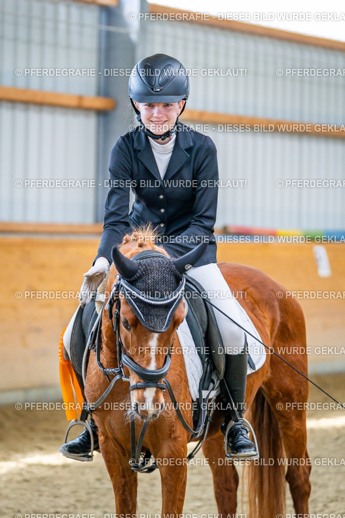 DSC03826 | Pferdegrafie